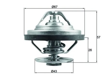 Termostat lichid racire MAHLE TX 158 79