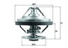 Termostat lichid racire MAHLE TX 158 79