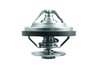 Termostat lichid racire MAHLE TX 158 79