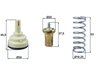 Termostat lichid racire MAHLE TX 181 105D