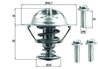Termostat lichid racire MAHLE TX 202 90D