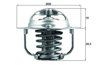 Termostat lichid racire MAHLE TX 208 88D