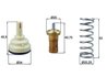 Termostat lichid racire MAHLE TX 209 80D