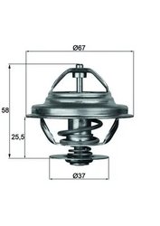 TERMOSTAT LICHID RACIRE MAHLE TX 21 80D - Compatibil cu ALPINA, BMW