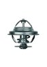 Termostat lichid racire MAHLE TX 21 80D