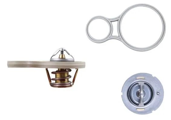 Termostat lichid racire MAHLE TX 255 91