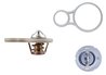 Termostat lichid racire MAHLE TX 255 91