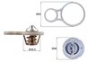 Termostat lichid racire MAHLE TX 255 91