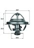 Termostat lichid racire MAHLE TX 27 80D
