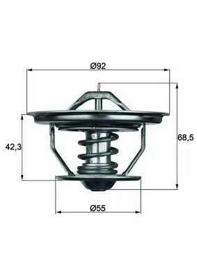 Termostat lichid racire MAHLE TX 35 79
