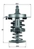 Termostat lichid racire MAHLE TX 82 80D