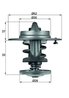 Termostat lichid racire MAHLE TX 80 83