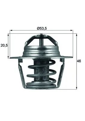Termostat lichid racire MAHLE TX 91 89D