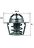 Termostat lichid racire MAHLE TX 91 89D