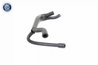 Furtun aerisire, rezervor egalizare VAICO V20-1641