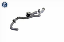 Furtun radiator VAICO V20-2421