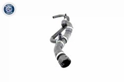 Furtun radiator VAICO V20-2421