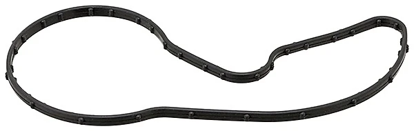 Garnitura termostat
