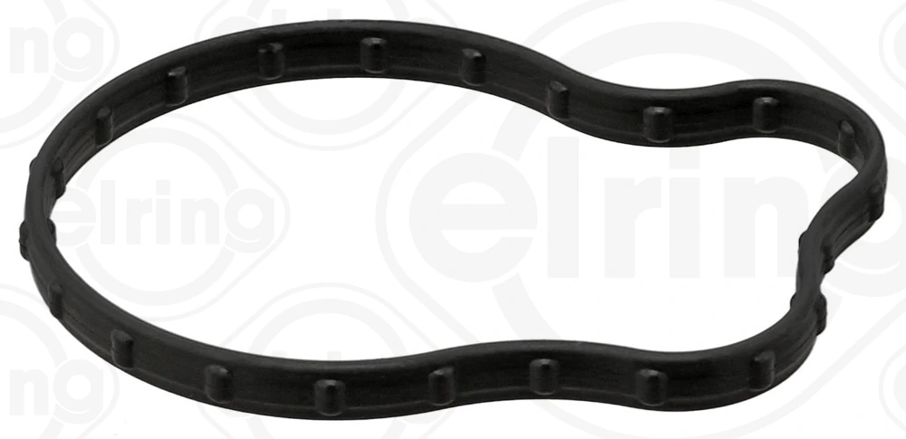 Garnitura termostat