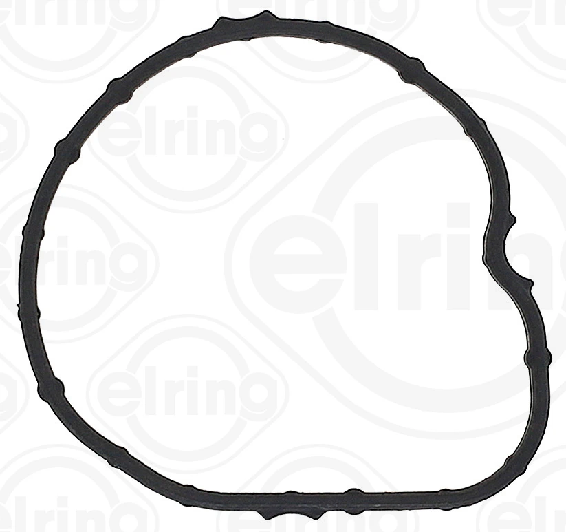 Garnitura termostat