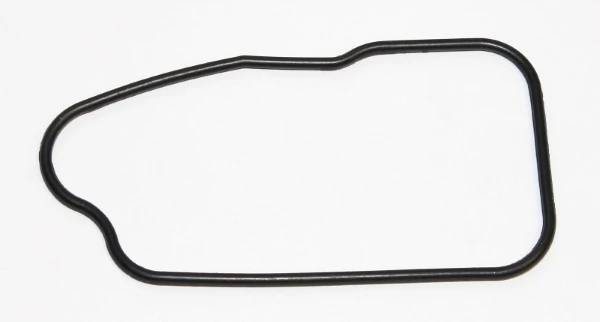 Garnitura carcasa termostat