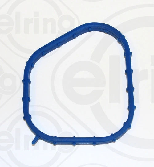 Garnitura carcasa termostat