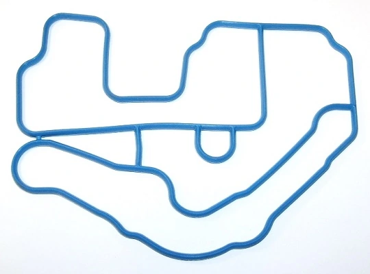 Garnitura carcasa termostat