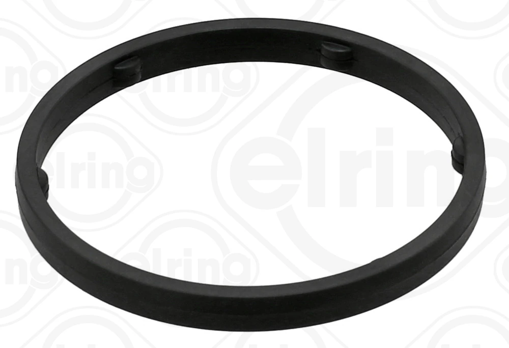 Garnitura carcasa termostat