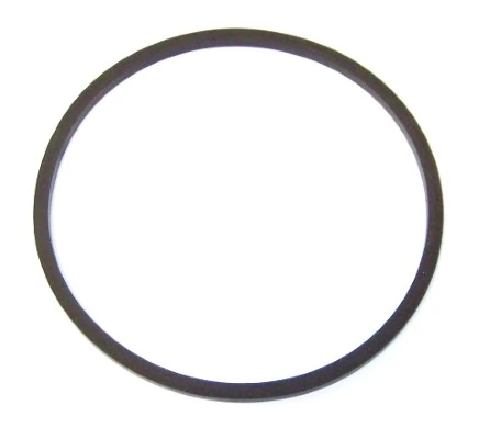 Inel de etansare filtru de combustibil