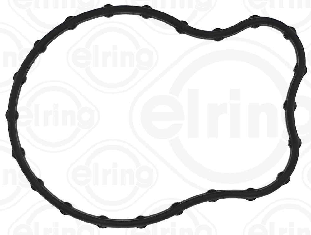 Garnitura termostat
