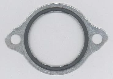 Garnitura termostat
