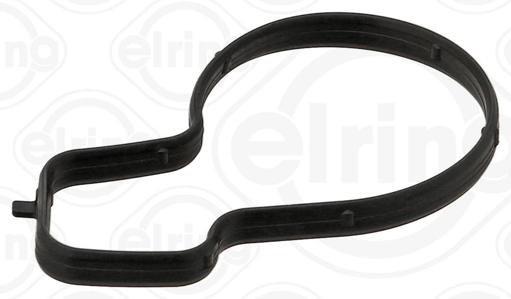 Garnitura termostat