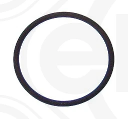 Inel de etansare