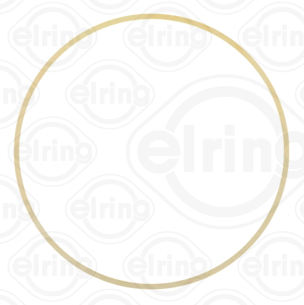 O-ring camasa cilindru