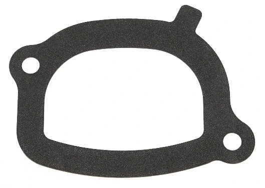 Garnitura carcasa termostat