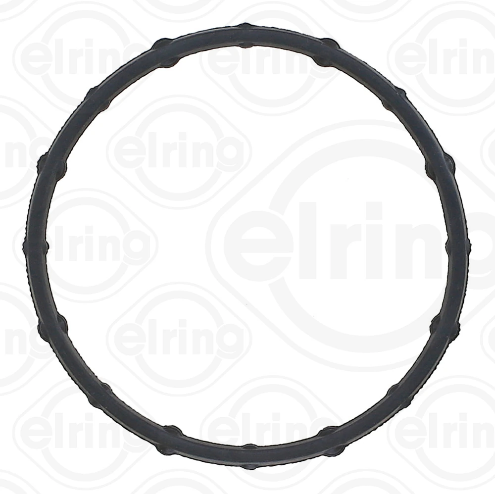 Garnitura termostat