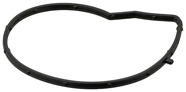 Garnitura pompa de apa