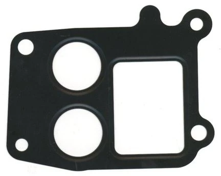 Garnitura carcasa termostat