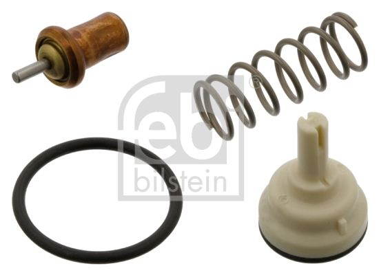 Termostat lichid racire