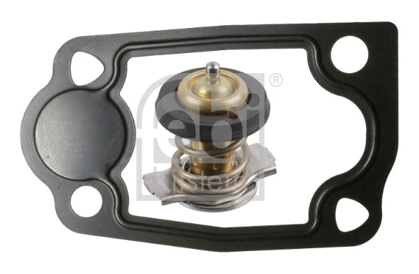 Termostat lichid racire