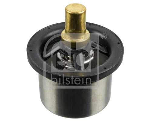 Termostat lichid racire