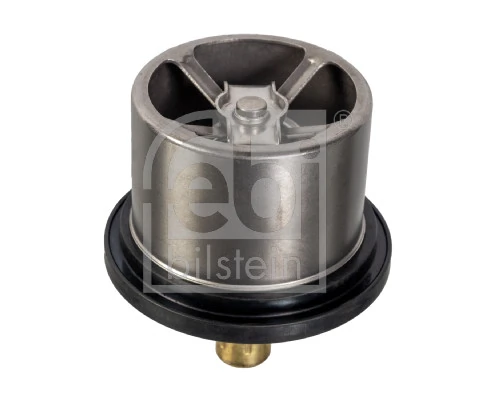 Termostat lichid racire