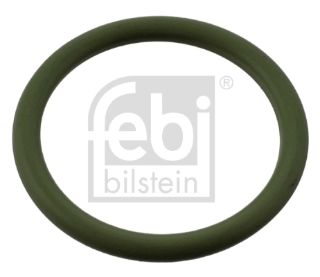 Garnitura flansa-curatator centrifugal