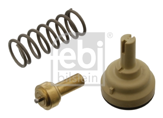 Termostat,lichid racire