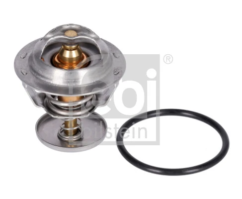 Termostat lichid racire