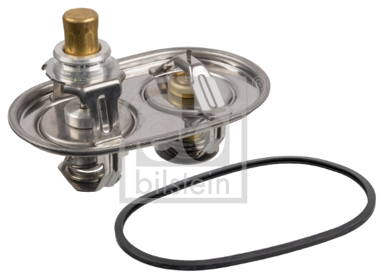 Termostat lichid racire