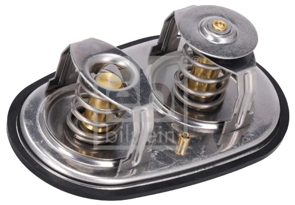 Termostat lichid racire