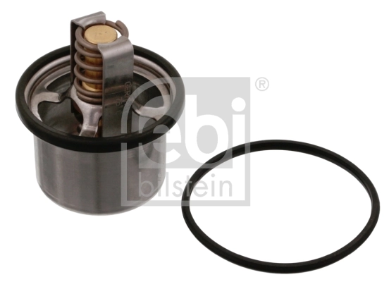 Termostat lichid racire
