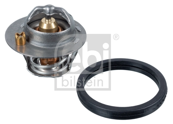 Termostat,lichid racire