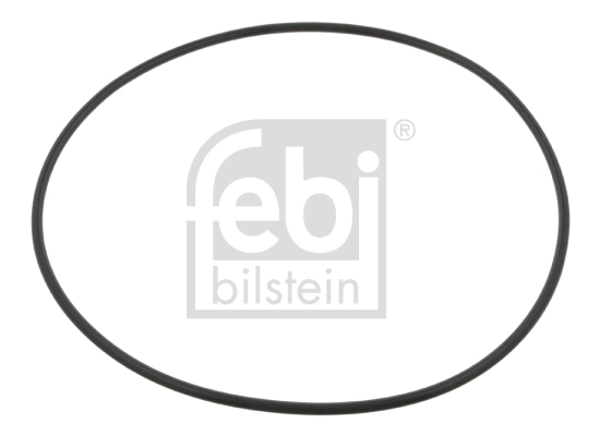 Inel de etansare butuc roata